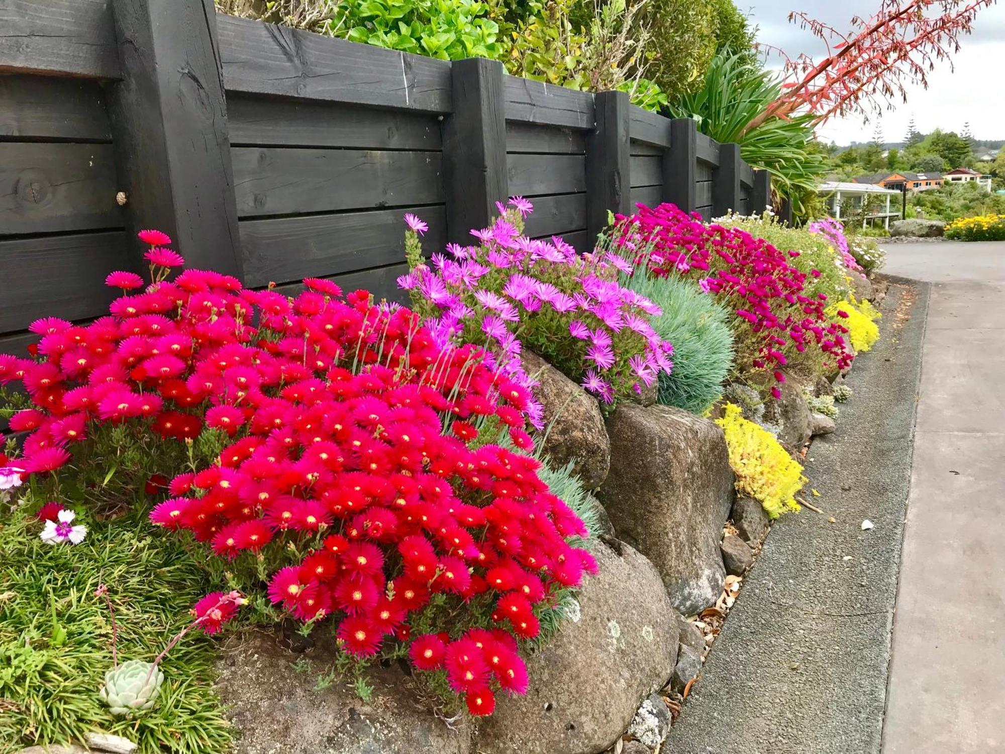 Sunset Point Kerikeri Apartment Exterior photo